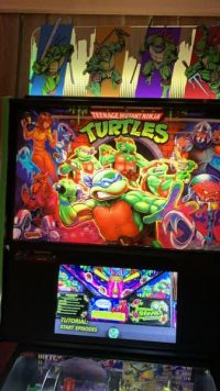 TEENAGE MUTANT NINJA TURTLE TOPPER